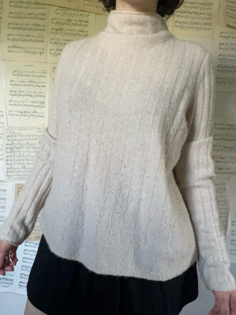 Madewell Cream Cable Turtleneck Sweater